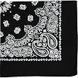 Black Trainmen Paisley Bandana (22" x 22")