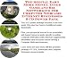 The Special Earn More Money, Inner Game and Biz Networking for Computer Webcams Internet Businesses 3 CD Power Pack