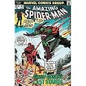 The Amazing Spider-Man - Marvel Comic Poster (Spiderman Vs. The Green Goblin) (Size: 24" x 36")