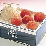 �Ⴈ�����M�t�g��}�X�N����������