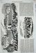 1869 Portsmouth Review King William'S Gate Ta Soldiers