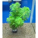 ���i�̏ڍ�