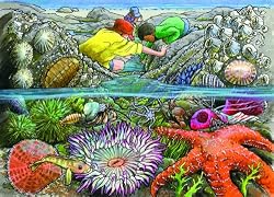 Exploring the Seashore (35 Piece Tray Puzzle)