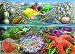 Exploring the Seashore (35 Piece Tray Puzzle)