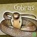 Cobras (First Facts)