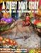 A Street Dog's Story (The Almost 100% True Adventures of Labi)