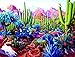 SunsOut Cactusland 1000 Pc Jigsaw Puzzle