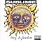 40 Oz. to Freedom [Explicit Lyrics] (Lyrics included with album)