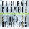 The Sound of Broken Glass: A James and Kincaid Novel, Book 15