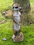 Erdmännchen Meerkatze Gartenfigur 35cm Zwerg Gartenzwerg