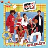 ﾊｲｽｸｰﾙ・ﾐｭｰｼﾞｶﾙ3 High School Musical 3　2009年輸入カレンダー ACA9-918