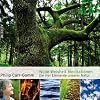 Wilde Weisheit Meditationen: Die vier Elemente unserer Natur