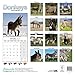 Donkeys Calendar - 2015 Wall calendars - Animal Calendar - Monthly Wall Calendar by Avonside