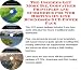 The Insider's Get More Biz, Godfather Principles and eCommerce for Web Hosting On-line Businesses 3 CD Power Pack