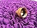 GreenBest Expandable Garden Hose, Purple, 50 Feet, 5/8 Diameter, Brass Sprayer and Couplings（ Purple）