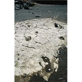 photographie Doomed warriors left their footprints in the lava when Keoua's army perished in the ...