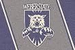 Weber State Wildcats 3' 10" x 5' 4" Team Spirit Area Rug