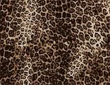 Wild African Animal Skin Texture - 24