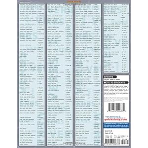 Latin Vocabulary (Quickstudy: Academic)