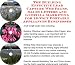 The Guerilla Marketing, Building Effective Lead Capture Web Pages, Sales Letters for 12-Volt Portabl