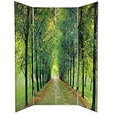 Rocky Stream Image - 6ft. Path of Life Nature Photography Room Divider - 2 Sizes
