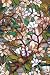 Magnolia Window Film 24-by-36-Inch