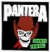Pantera - Cowboys from Hell - Skull in Cowboy Hat - Sticker / Decal