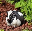 Medium portly, cow