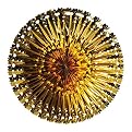 Fantasy Fan, 28"-Gold