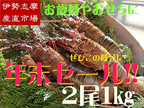 【年末セール！！】三重県伊勢志摩産　活伊勢海老《2尾で1kg》　新鮮な伊勢エビをお届け　伊勢志摩直送