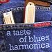 In the Pocket: Taste of Blues Harmonica