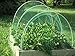 ALAZCO 4 Packs Garden Plant Netting Protect Protect Plants and Fruit Trees Against Rodents Birds Deer & Other Pests (Each 33-Ft x 6-Ft)