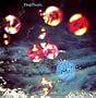 Who Do We Think We Are (180 Gram Vinyl Reissue)