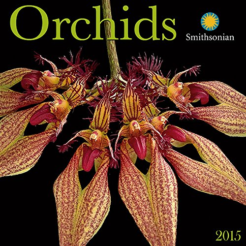 Orchids 2015
