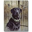 Nostalgic Ducks Unlimited Tin Sign : Great Retrievers