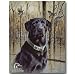 Ducks Unlimited Tin Metal Sign : Great Retriever