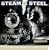 Steam and Steel 2010 Wall Calendar (Calendar)