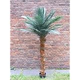 Suchergebnis auf Amazon.de für: künstliche Palmen: Garten