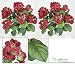 TWO 22" Hydrangea Artificial Flower Bushes in Antique burgundy