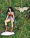 Search : Wonder Woman Ornaments Boxed Set