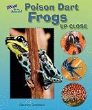 Poison Dart Frogs Up Close (Zoom in on Animals!)