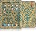 GelaSkins iPad 2 Cover Skin Winona by Cosmo Cricket