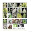 Diesel Compilation: Sickbay Records [Explicit]