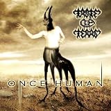 Once Human