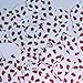 Teardrop Sequin 1.5