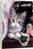 Canvas Prints of Cat - Kitten with sewing machine and tape measure from Ardea Wildlife Pets