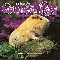 GUINEA PIGS 2010 Wall Calendar #11117-10