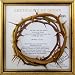 The Crown of Thorns
