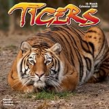 Eigenschaften Avonside Publishing Ltd.  / Kalender 2009 Tiger - Tigers