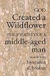 Seasons of Life: the Journey of a Middle-Aged Man